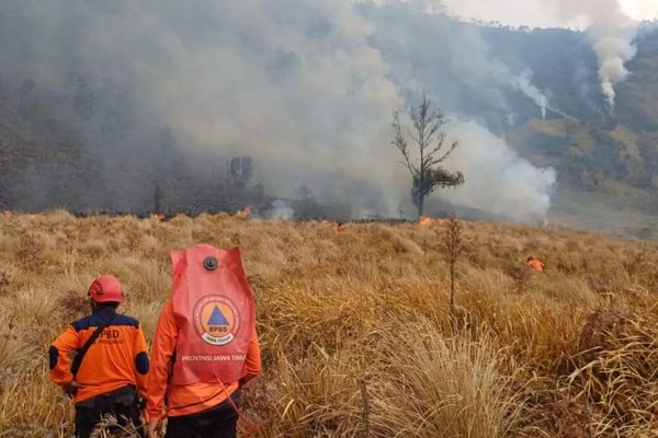 Petugas gabungan memadamkan kebakaran di kawasan Gunung Bromo yang terus meluas pada Selasa, 4 Agustus 2026.