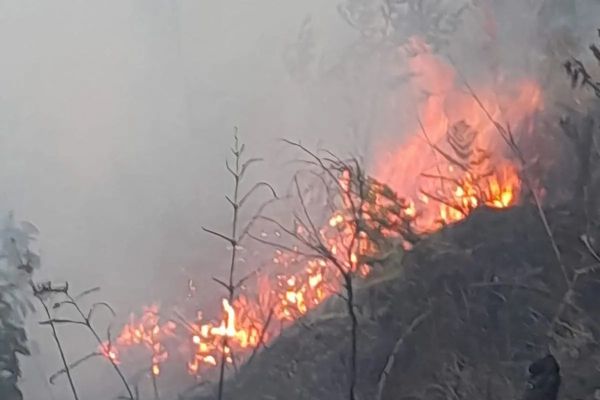 Kobaran api yang muncul di Blok Bantengan kawasan Taman Nasional Bromo Tengger Semeru (TNBTS), Senin, 3 Agustus 2026.