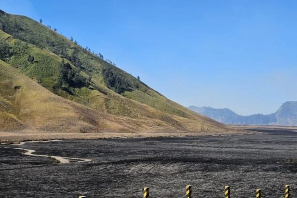 Penampakan savana di Gunung Bromo, Jawa Timur, Minggu, 9 Agustus 2026 nampak berwarna hitam seusai meluasnya titik api, pada Sabtu, 8 Agustus 2026.