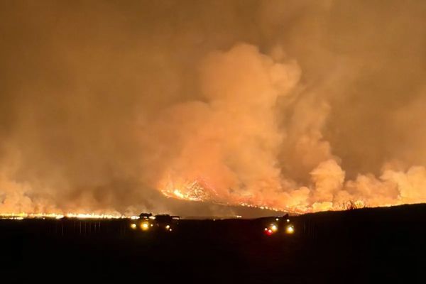 Kebakaran di Bromo