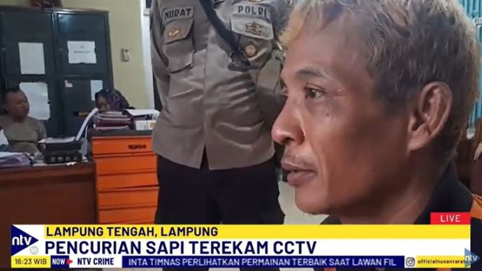 Pelaku pencurian hewan kurban di Lampung Tengah berhasil diringkus polisi berkat CCTV. 