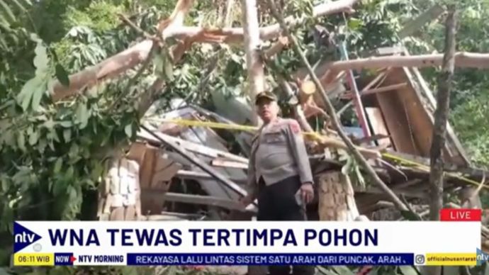 WNA Asal Prancis tewas akibat tertimpa pohon tumbang saat berada di penginapannya/tangkapan layar NTV