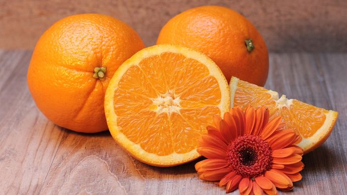 Ilustrasi buah jeruk
