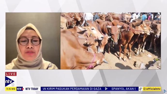 Direktur Kesehatan Hewan Kementerian Pertanian (Kementan) Nuryani Zainuddin saat menjadi narasumber dalam program NTV Today di Nusantara TV, Jumat (7/6/2024). 