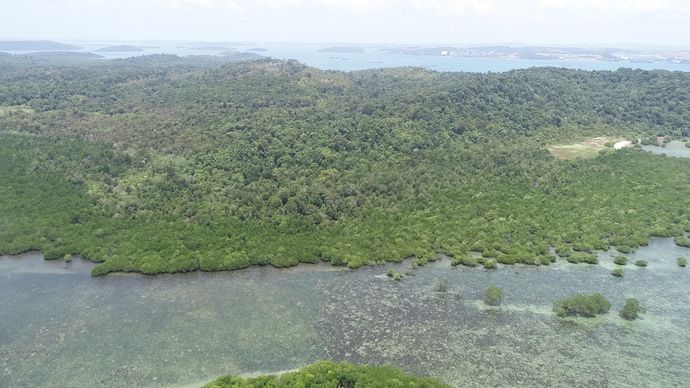 KEK Tanjung Sauh di Batam