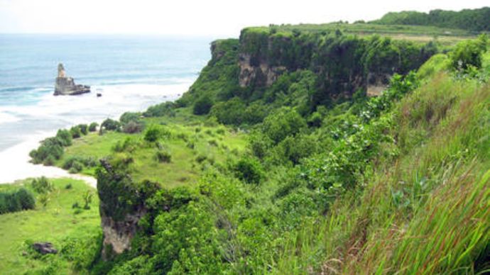 Ilustrasi Geopark Gunungsewu <b>(Global Geopark)</b>