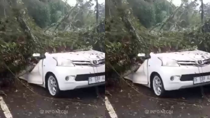 Mobil tertimpa pohon