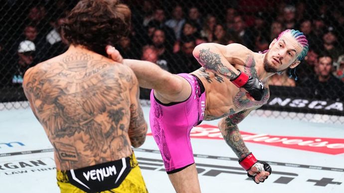 MIAMI, FLORIDA - MARCH 09: (R-L) Sean O'Malley kicks Marlon Vera of Ecuador in the UFC bantamweight championship fight during the UFC 299 event at Kaseya Center on March 09, 2024 in Miami, Florida. (Photo by Chris Unger/Zuffa LLC via Getty Images)