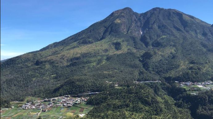 Hutan Gunung Lawu <b>(Google Maps)</b>