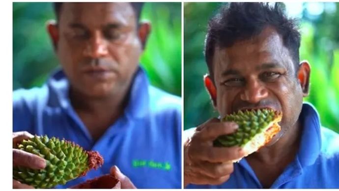 Orang Makan Kulit Duren