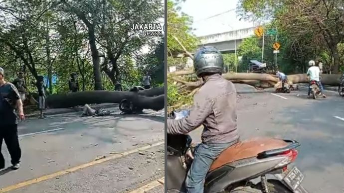 korban pemotor kejepit pohon tumbang