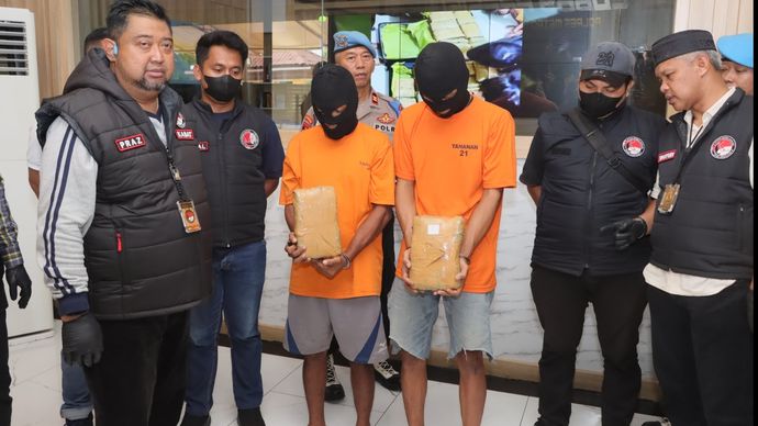 Dua pelaku peredaran ganja 77 kg. 