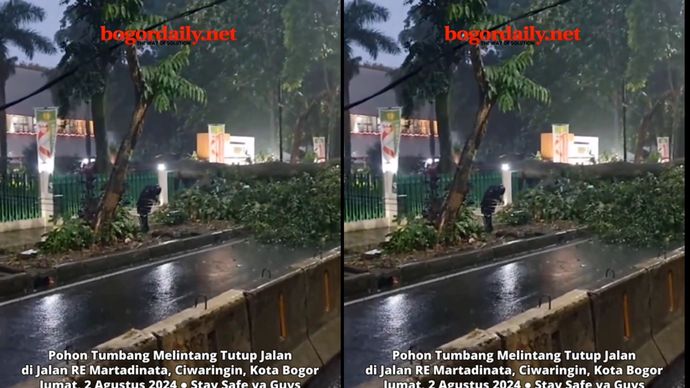 Pohon tumbang di Bogor