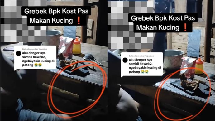 Bapak Kost Makan Daging Kucing