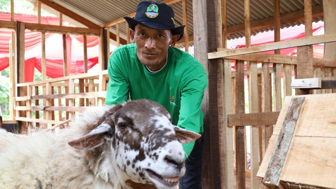 BAZNAS RI berupaya menurunkan angka kemiskinan melalui sektor peternakan <b>(Dok.Istimewa)</b>