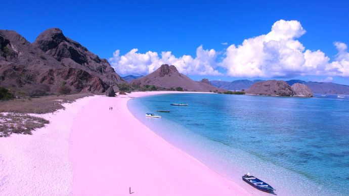 Pink Beach NTT