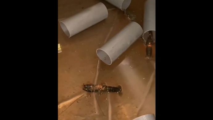 Kolam berisi lobster di kamar kost seorang mahasiswi