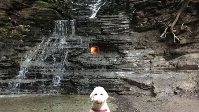 Air Terjun Api Atau Eternal Flame Falls, Amerika Serikat <b>(Google Maps)</b>