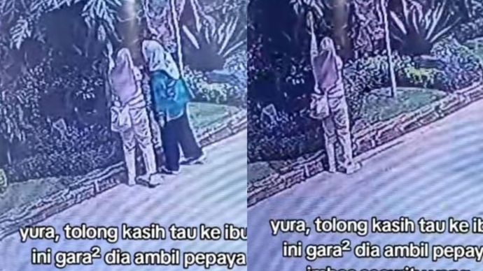 Satpam Dipecat Gegara Ibu-ibu Curi Pepaya