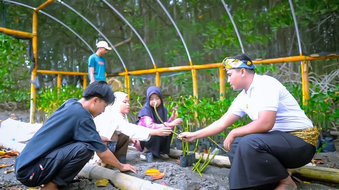 Hutan mangrove di kawasan Jerowaru, Lombok Timur, Nusa Tenggara Barat. <b>(Dok.Istimewa)</b>