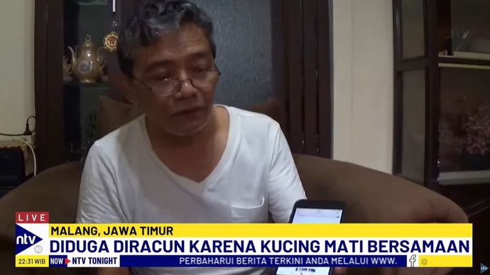 Ketua RT 03 Bambang Priyadi juga menjadi korban kucingnya yang mati mendadak, pada Selasa (15/10/2024).