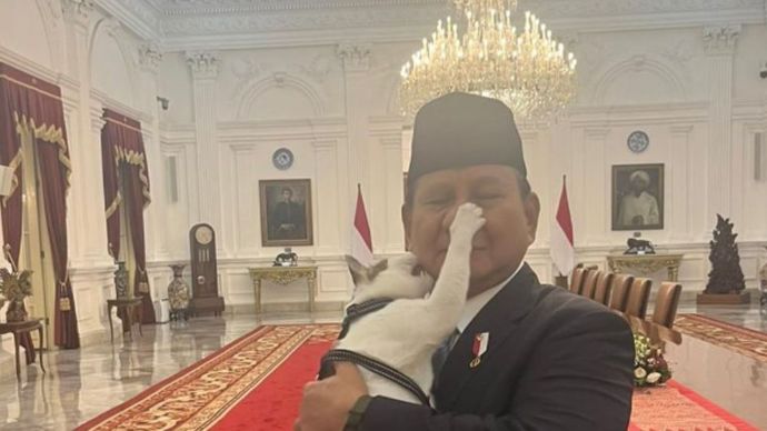 Prabowo Unggah Tingkah Gemas Kucing Bobby di Istana, Warganet Ramai Komentar Lucu