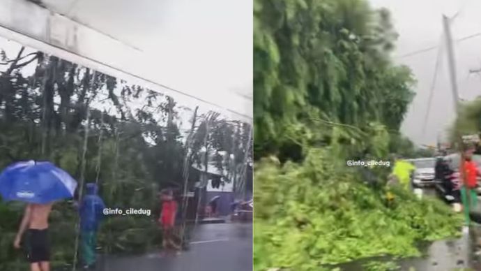 Hujan deras disertai angin kencang melanda wilayah Tangerang pada Minggu sore, 10 November 2024, menyebabkan sejumlah insiden pohon tumbang yang mengakibatkan akses jalan terputus.