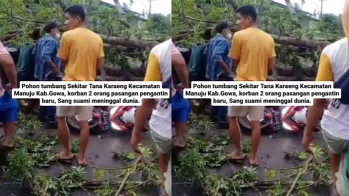 Sebuah pohon besar tumbang menimpa dua orang pasangan pengantin baru di Tana Karaeng, Kecamatan Manuju, Kabupaten Gowa, pada Selasa, 12 November 2024.