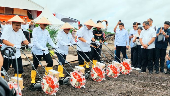 Kementan gandeng PT Perkebunan Nusantara (PTPN) melakukan gelar tanam perdana tumpang sari padi gogo/Ist