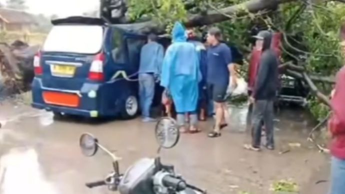 Angkot tertimpa pohon tumbang