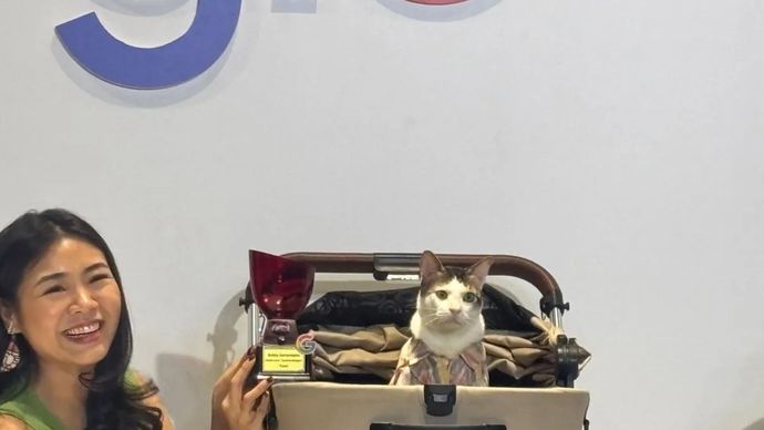 Feliciana Wienathan selaku Communications Manager Google Indonesia (kiri) bersama Bobby Kertanegara si kucing (kanan) saat menghadiri acara Top Trending Searches Google 2024 di kawasan Sudirman, Jakarta Pusat, Kamis.