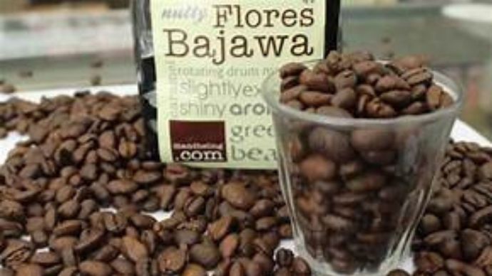 Ilstrasi - Kopi Flores Bajawa