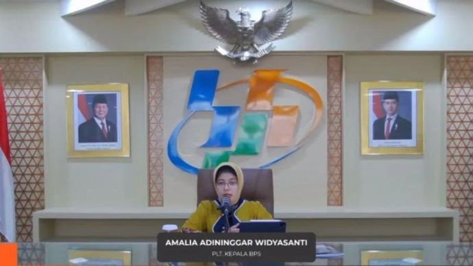 Plt Kepala BPS Amalia Adininggar Widyasanti dalam konferensi pers di Jakarta, Rabu (15/1/2025).