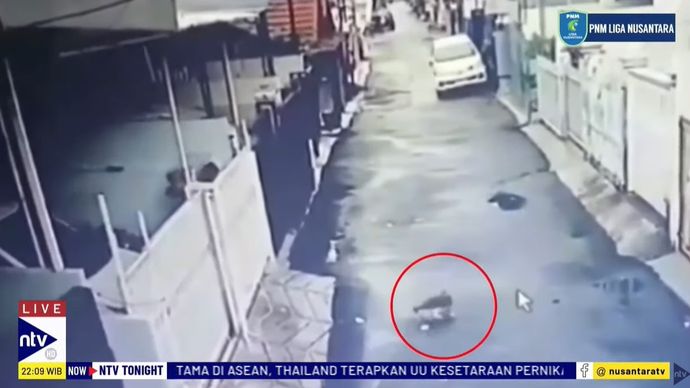 Peristiwa penembakan kucing terjadi di Kelapa Gading, Jakarta Utara.