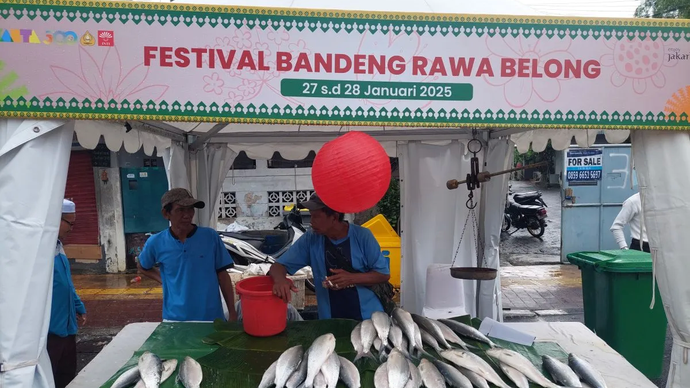 Berburu ikan bandeng saat Imlek tidak hanya dilakukan masyarakat Tionghoa saja. Aktivitas itu telah menjadi bagian dari tradisi warga Betawi, suku asli Jakarta.