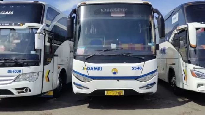 Bus Damari 