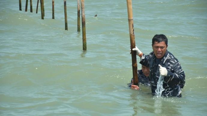 Personel TNI AL membongkar pagar laut yang ada di kawasan Banten, Rabu (5/1/2025