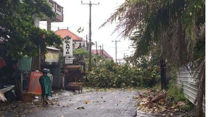 Pohon jati tumbang melintang di tengah jalan akibat hujan deras dan angin kencang di kawasan Pasar Bendul, Sukawati, Kabupaten Gianyar, Bali, Minggu (9/2/2025)