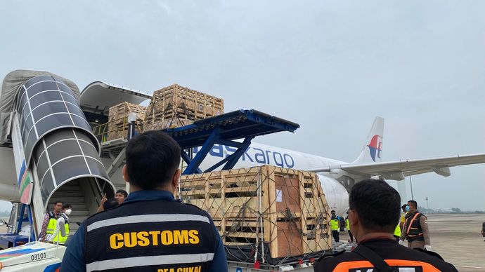 Sebanyak 834 ekor bibit domba hidup mendarat di Bandara Internasional Jawa Barat Kertajati. Ratusan ekor domba tersebut didatangkan dari Australia menggunakan pesawat kargo Malaysia Airlines oleh PT Ayodhya Agro Abadi/Ist