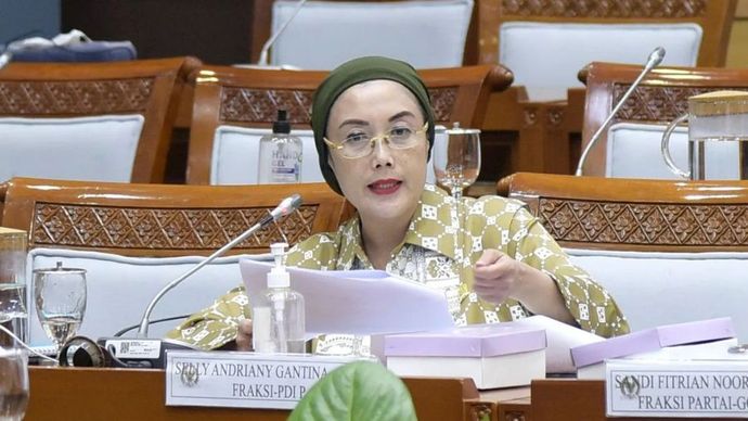 Anggota Komisi VIII DPR RI Selly Andriany Gantina.