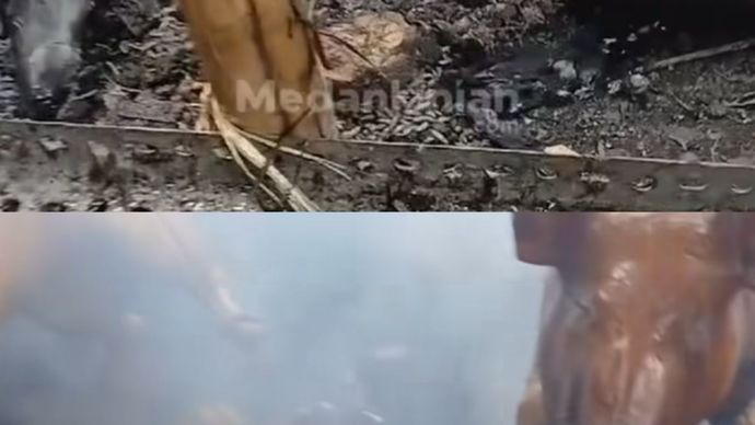 Sebuah video yang memperlihatkan warga yang sedang memanggang babi guling viral di media sosial/Ist