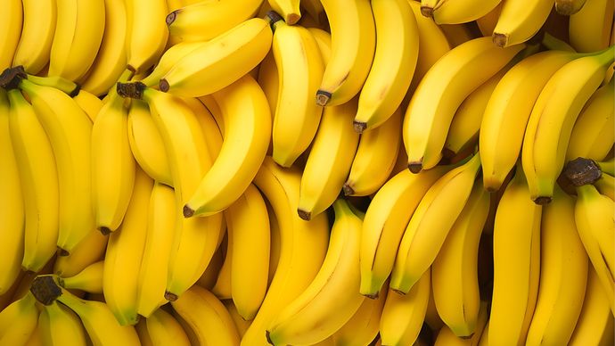 Manfaat buah pisang 