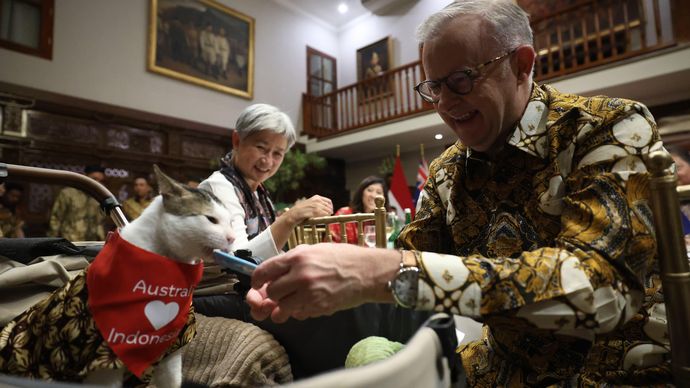 PM Australia Beri Kalung Syal untuk Bobby Kucing Prabowo, Tanda Cinta untuk Indonesia