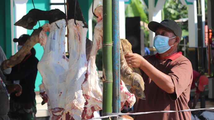 Tips mengolah daging kurban