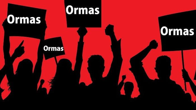 Ilustrasi ormas/Ist