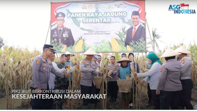 Panen Raya Jagung Serentak