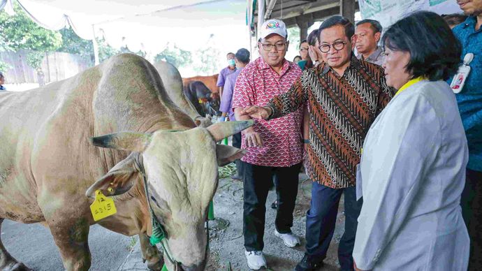 Pramono Anung