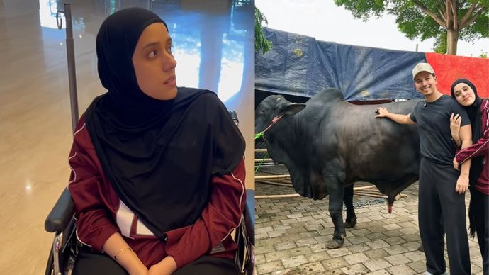 Kaki Fairuz diinjak Sapi seberat 1,2 Ton