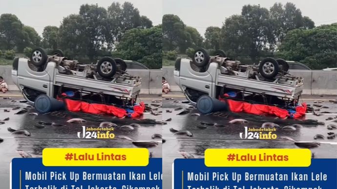 Sebuah mobil pick up bermuatan ikan lele mengalami kecelakaan tunggal di ruas Tol Jakarta-Cikampek Kilometer 54, Sabtu pagi.