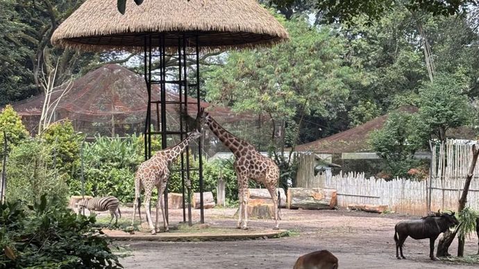 Situasi setelah konflik antara dua manajemen terjadi di Kebun Binatang Bandung pada hari Kamis, 3 Juli, tempat itu tampak sepi.